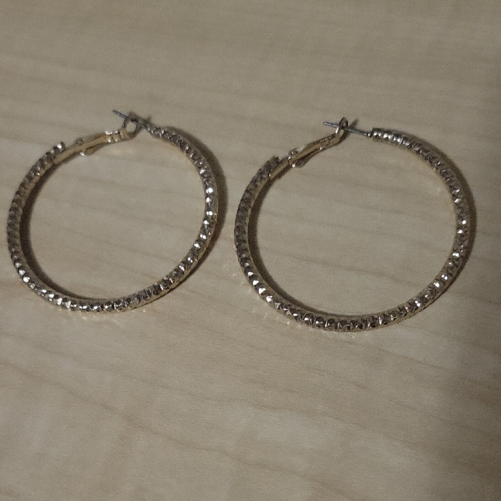 Elegant Gold Hoop Earrings